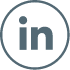 Logo Linkedin Nayarta